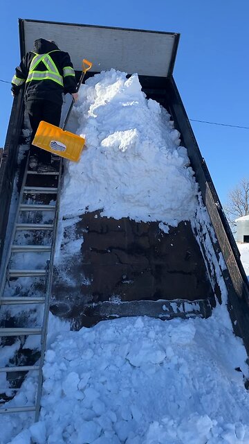 why the ending of tim's lastest tik tok ends with a cat not yt synced