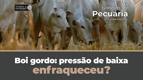 Boi gordo: pressão de baixa enfraqueceu? Hyberville Neto comenta
