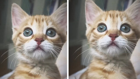 Look at this 🥰