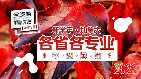 全媒体加拿大台 077期 2020/2021加拿大个省份各专业学费以及各省平均收入解读