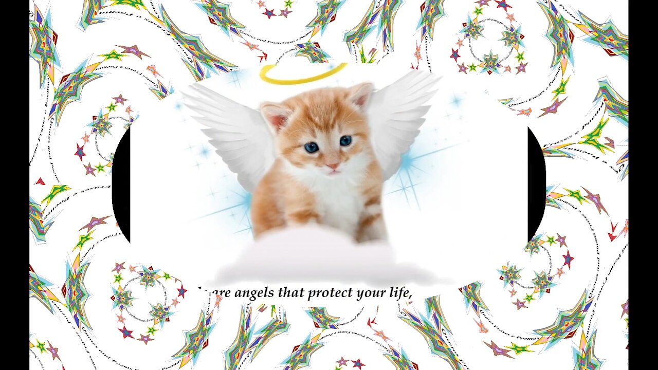 The animals are angels that protect your life, they are special! [Quotes and Poems]