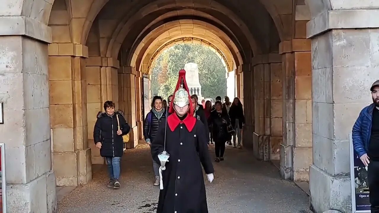 tourist realised the kingsguard was willing to walk right through her #horseguardsparade