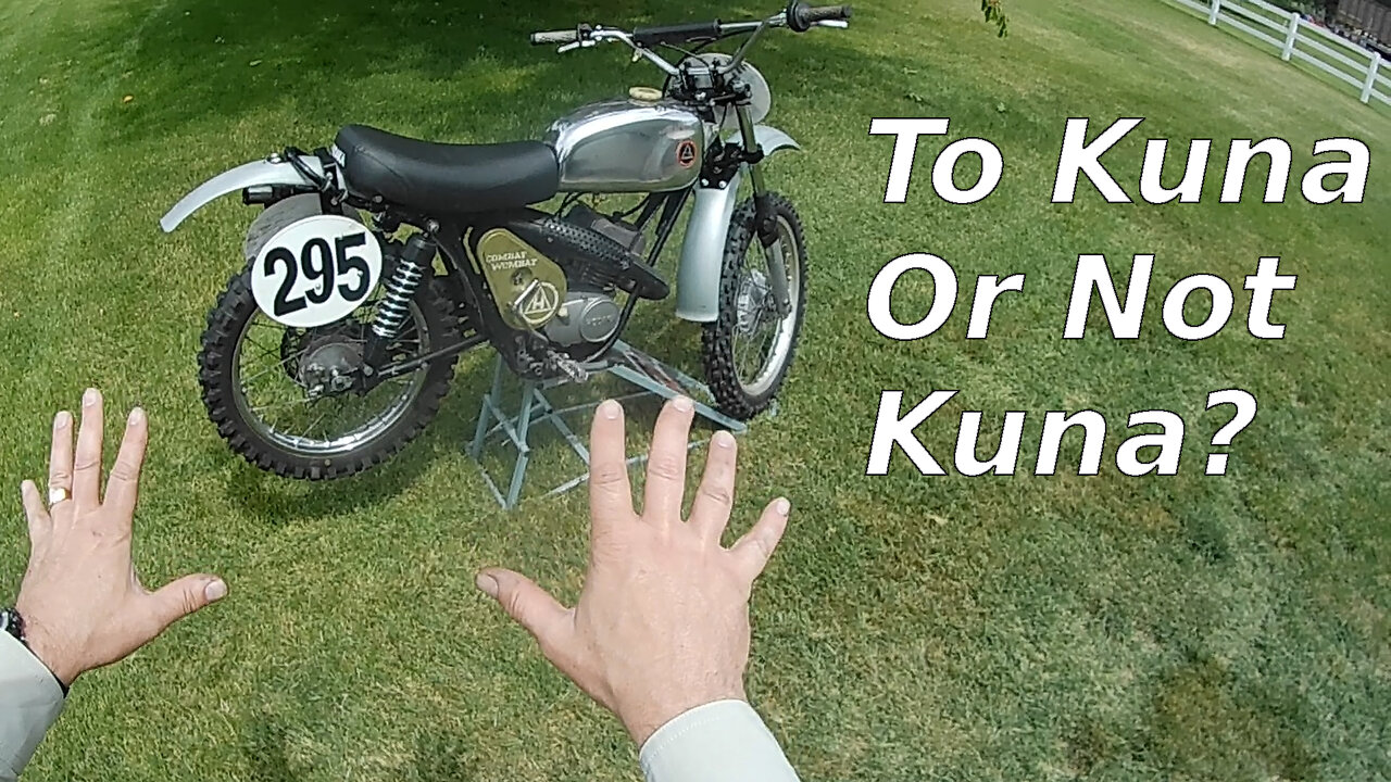Kuna or not?