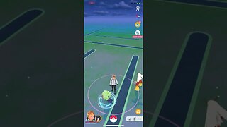 Shiny Compilation