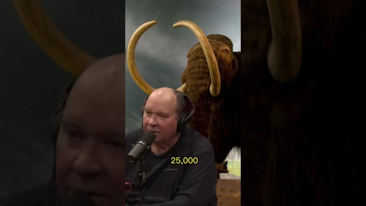 How much does a mammoth tusk cost? Joe Rogan & John Reeves