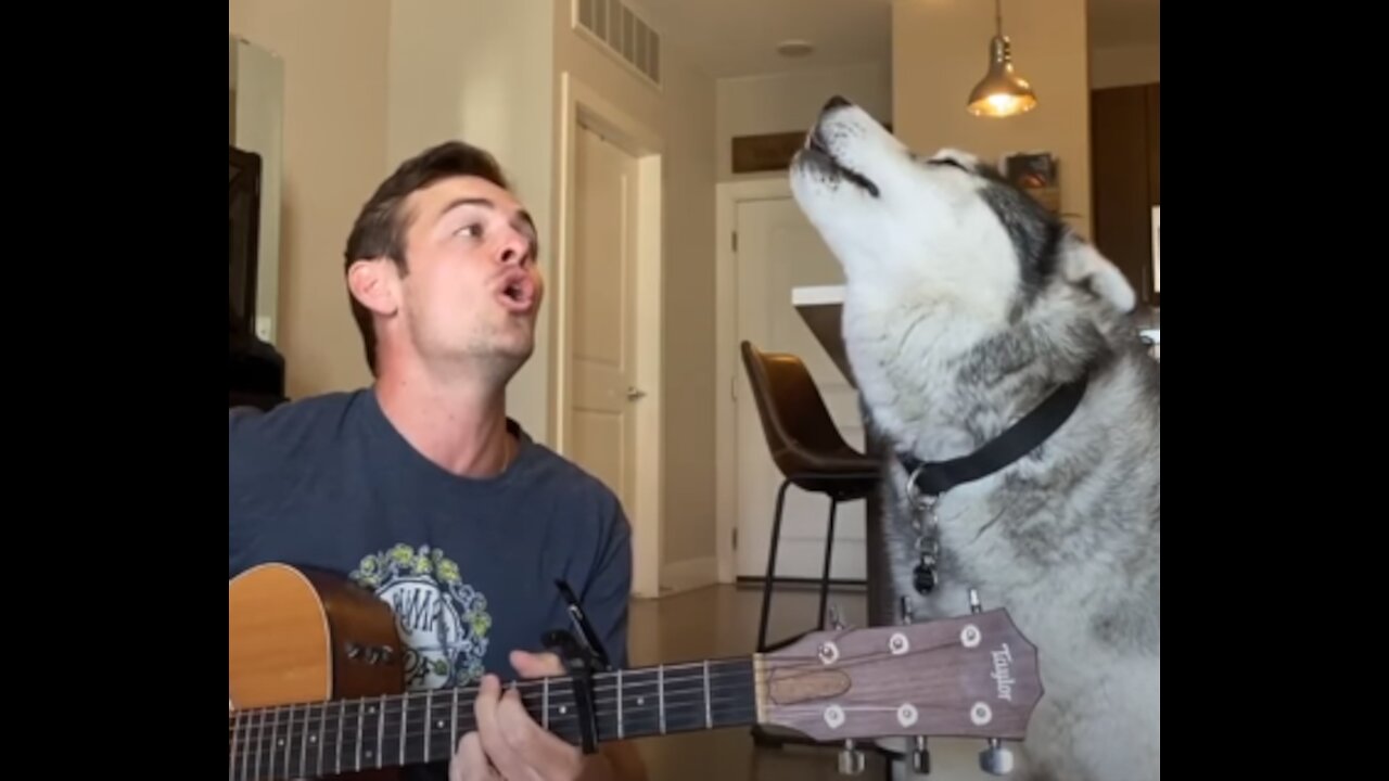 Cute Adorable Husky Can't Stop Singing With Owner | Cute Funny Pets