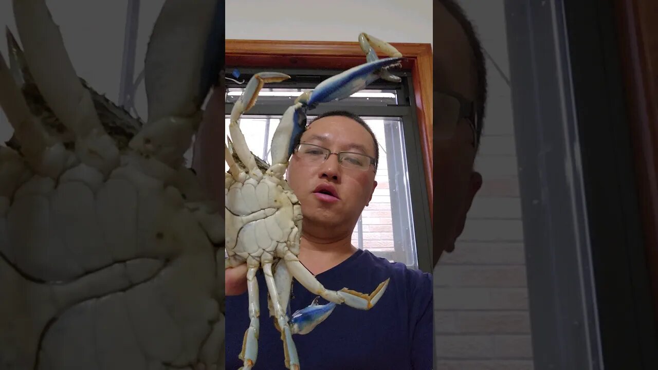 Huge Long Island Brooklyn Reppin Blue Crab #crabrecipes #seafoodrecipes