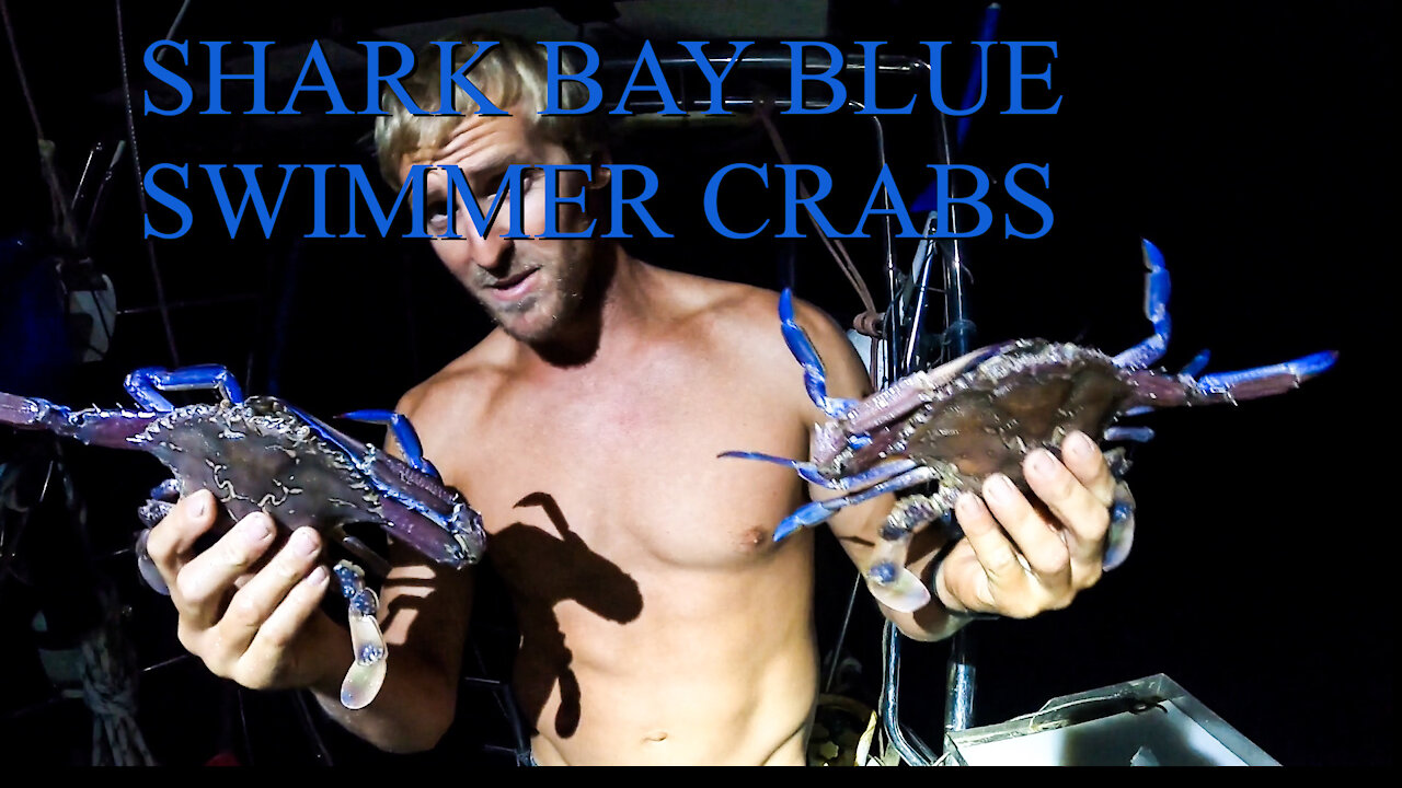 Shark bay catch and cook Crabs - Ep 15