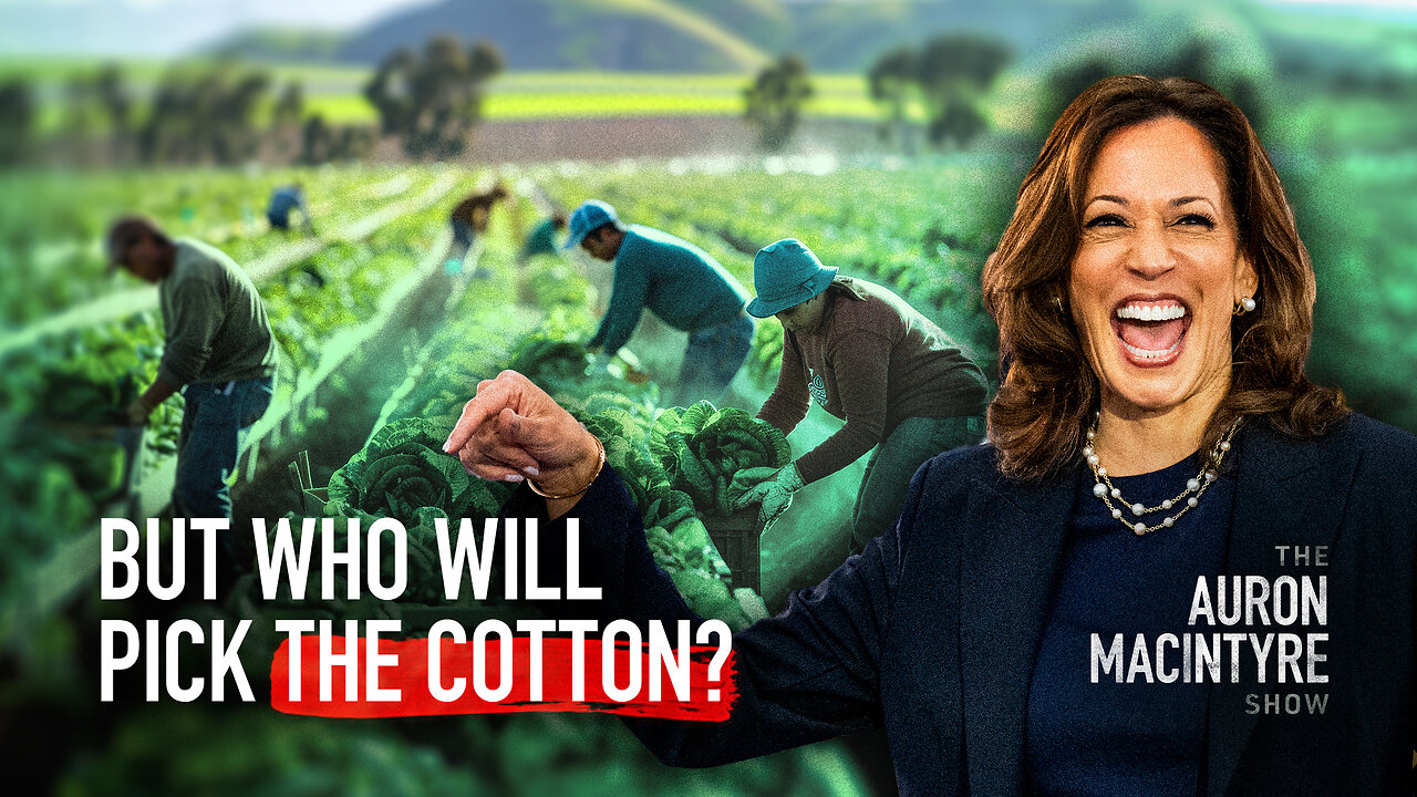 'But Who Will Pick the Cotton?' The Liberal Case for Mass Immigration | 10/16/24