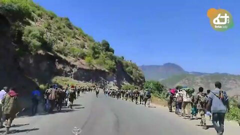 የአሸባሪው ህወሓት ታጣቂ በጋሸና አካባቢ በንጹሀን ላይ የፈጸመው ዘግናኝ ጭፍጨፋ