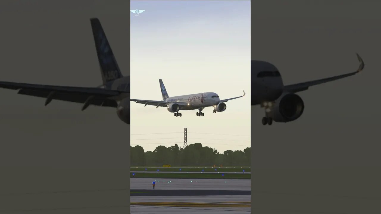 Airbus A350 Landing #aviation #landing #shorts