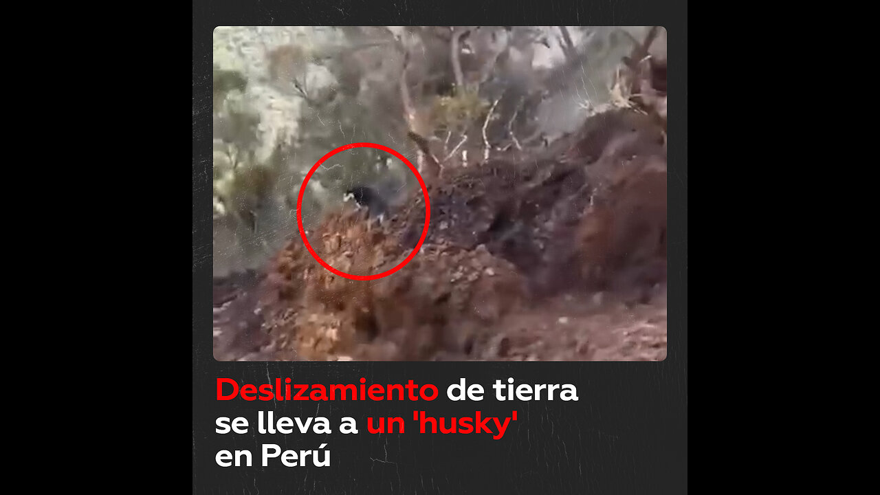 Aparatoso momento en el que un ‘husky’ cae con la tierra en un deslizamiento