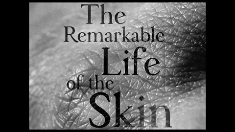 피부는 인생이다, 골드버거박사, 조지앤슨, 해군준장, 영국, 괴혈병, 제임스린드, 무작위통제,비타민C, 발진, 에코르셰, 과학, 사회, 역사적 관점, 레오나르도 다빈치, 근육,