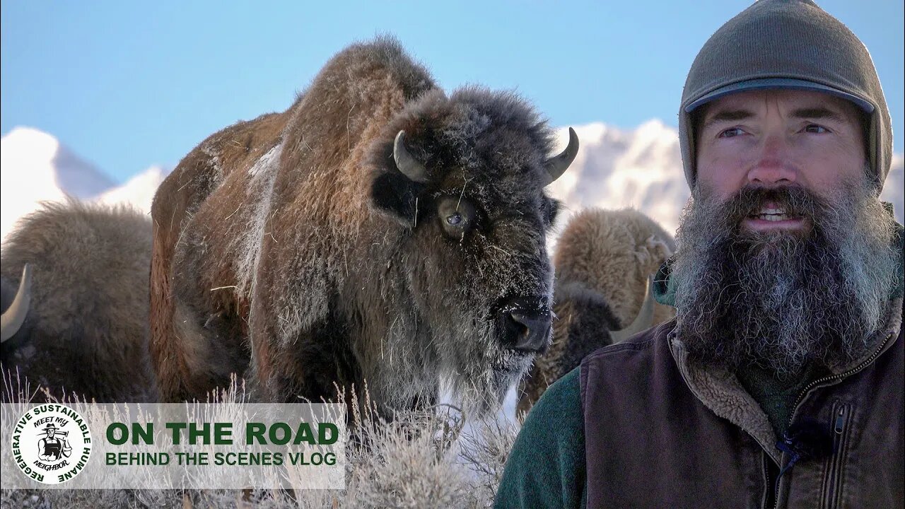 ARCTIC BLAST! 19 below with a windchill of -36 | Meet a Montana Bison Rancher