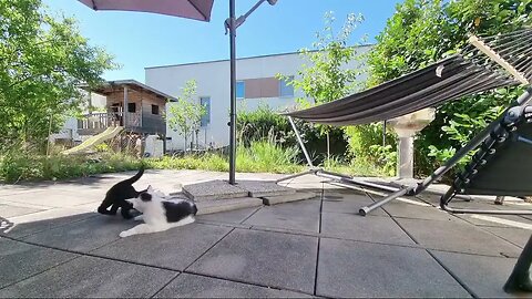Highlight 12:29 – 17:28 von Silent Long LIVE for wh update in the garden @TravelGeorge #ghitatra