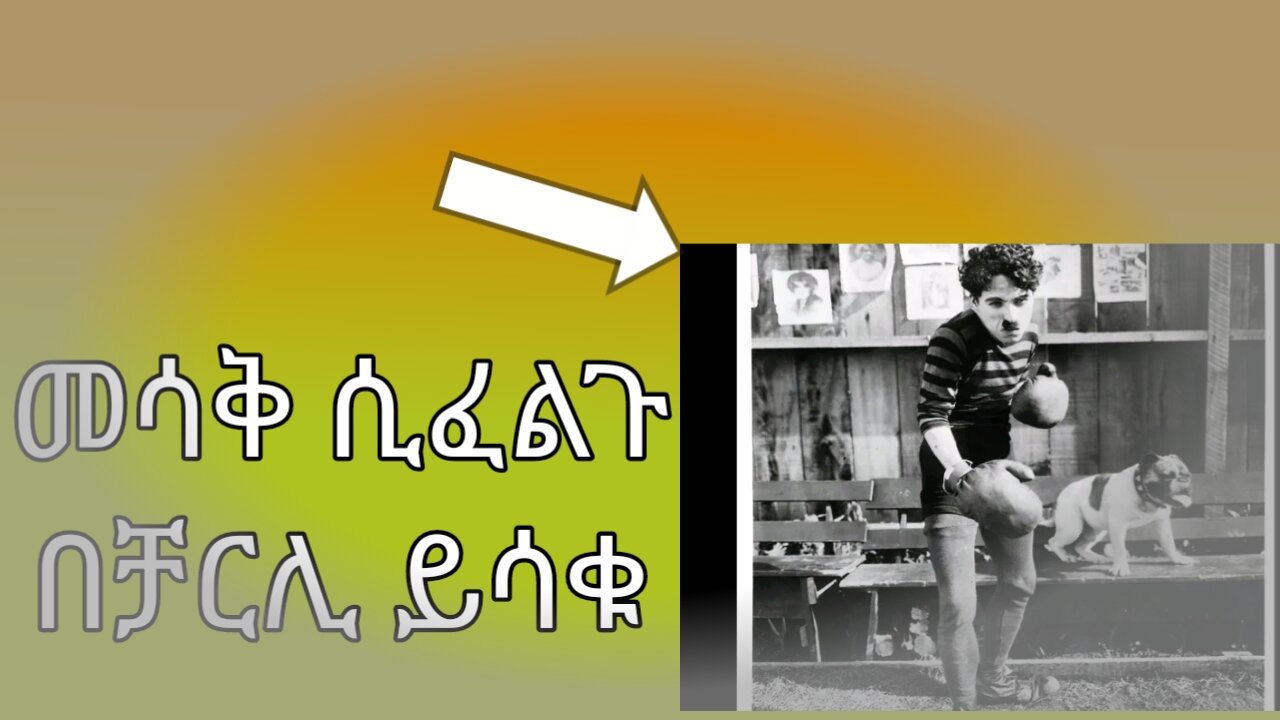 Funey video king of comedy chali chaplin