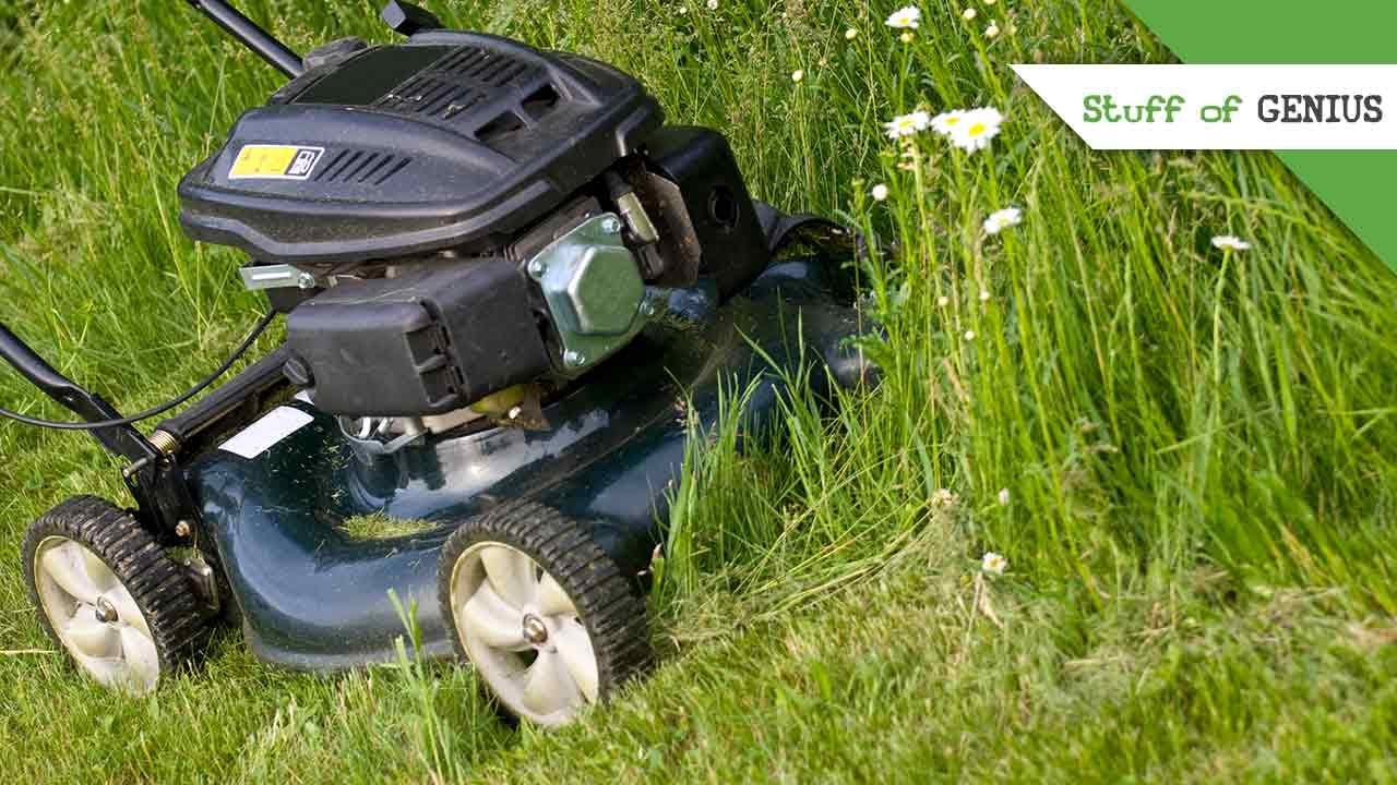 Stuff of Genius: Edward Budding: Lawnmower