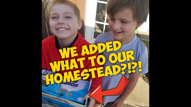 We added WHAT to our homestead?!?!