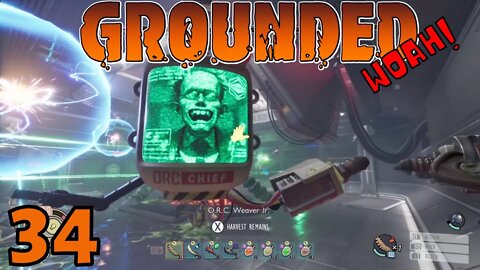 Goodbye Director Schmecter - Grounded Release - 34
