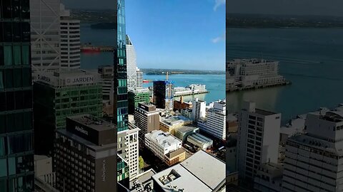 Auckland morning