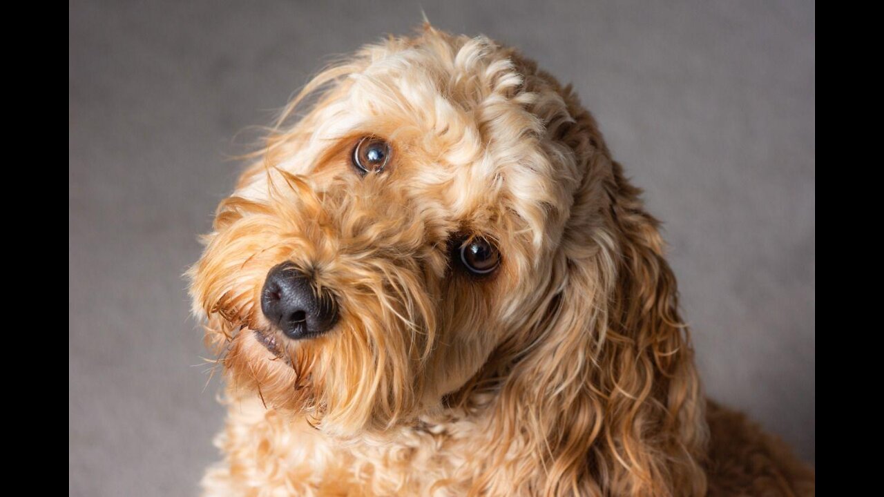 Finny asked what is going on here