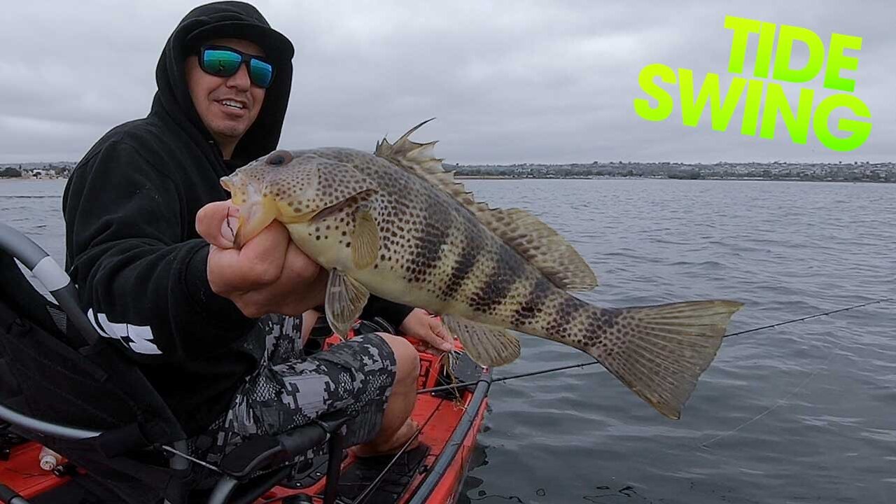 1 Hour Ripper Bite | Spotted Bay Bass | WARBAITS FISHING