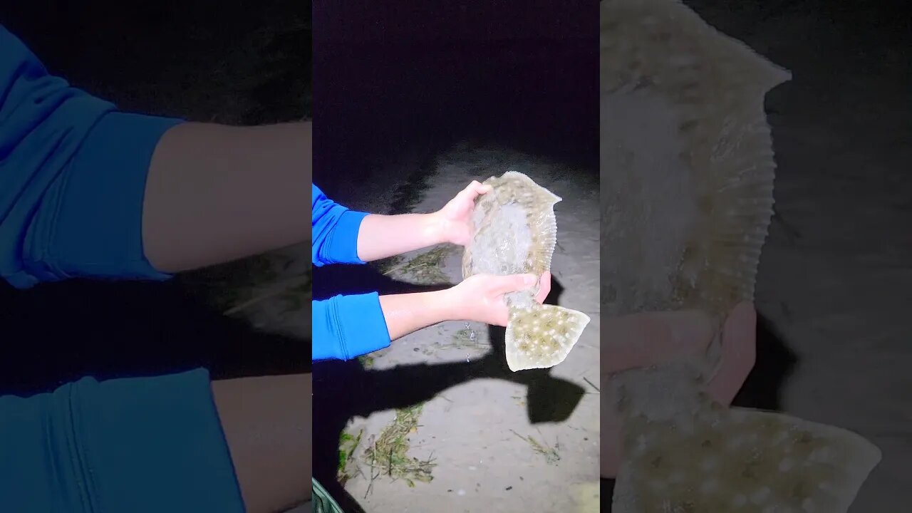 Fluke at Midnightš¤