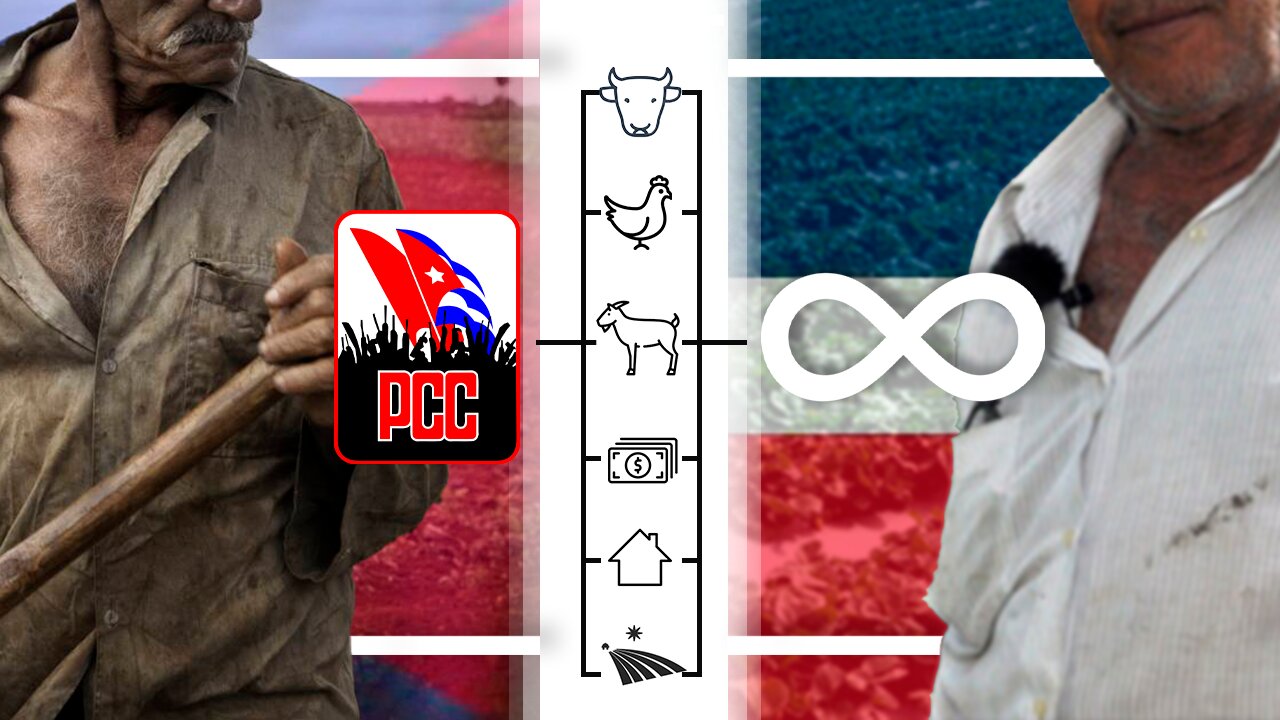 Comparativa (CAMPESINO) DOMINICANO vs CUBANO // Los RESULTADOS del LIBRE MERCADO vs C0MUN1$M0