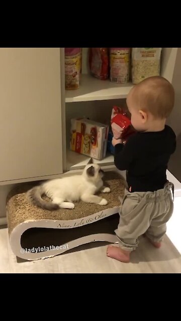 Kid gives unlimited treats to kitty best friend