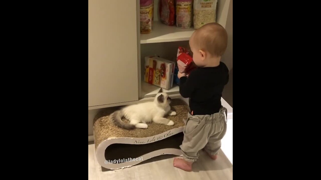 Kid gives unlimited treats to kitty best friend