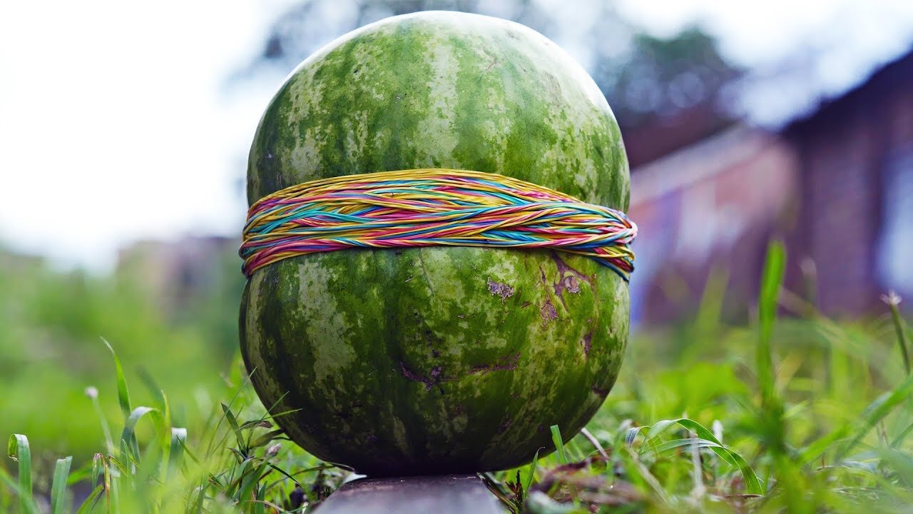 500 RUBBER BANDS vs. WATERMELON!! a funny challenge