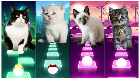 Cat singing Wednesday - Shakira - Imagine Dragon - Dancing | Tiles Hop: EDM Rush!