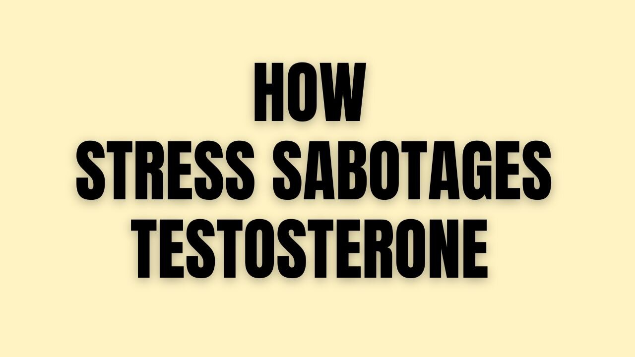 Unlock Peak Performance: How Stress Sabotages Testosterone and What Elite Achievers Must Do About It