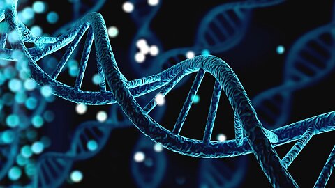 The Risks of Genetic Manipulation