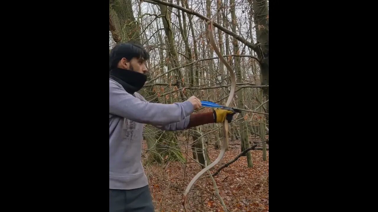 66lbs @ 31” 2D TARGET PRACTICE