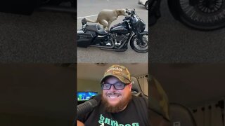 Here’s Your Dose Of REALarious…🤣🤣🤣