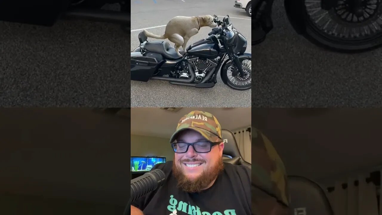 Here’s Your Dose Of REALarious…🤣🤣🤣