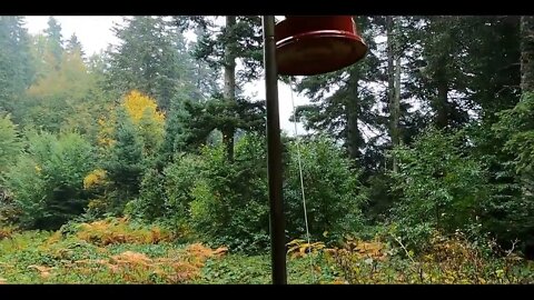 Camping alone in heavy rain and thunder -12