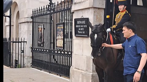 Female Kings guard puts male tourist in his place (DONT TOUCH THE REIN ) #horseguardsparade