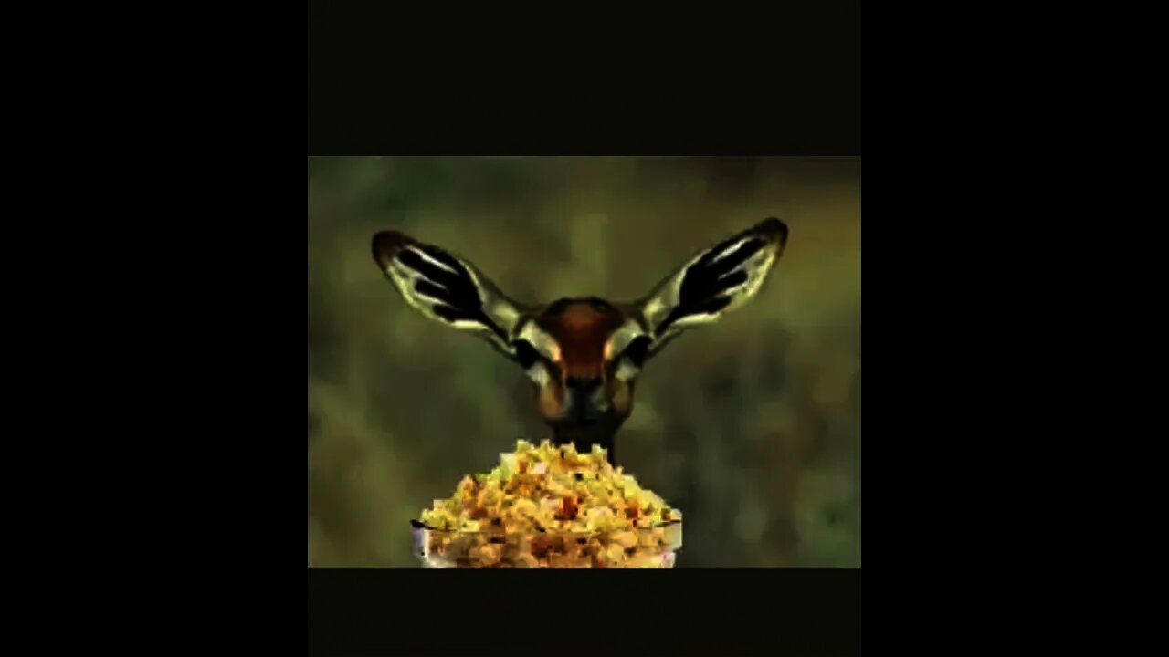 How To Chew Popcorn In 2021 #shorts