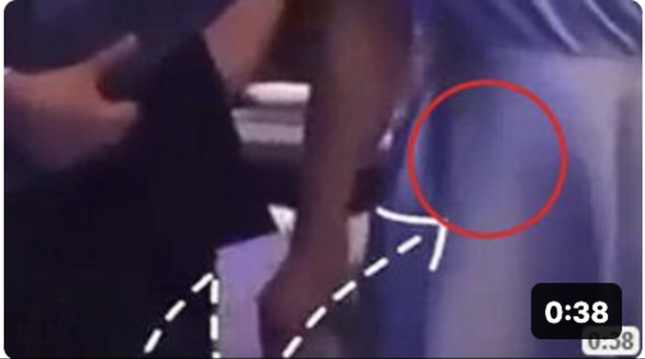 WHAT IN THE WORLD IS MOVING AROUND UNDER HER DRESS..? IT'S ALIVE..!!