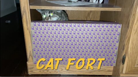 Cat Fort