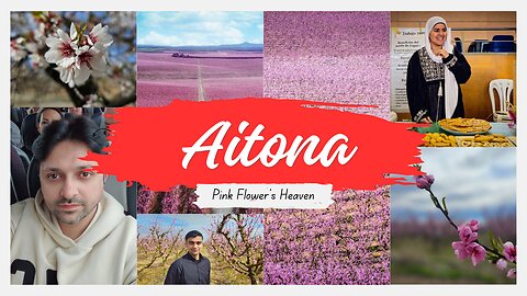 Aitona Flower's Heaven || Exploring Aitona: A Pink Paradise