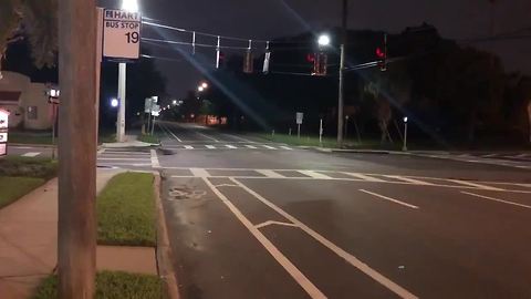 Search for driver in hit-and-run in South Tampa| Digital Short