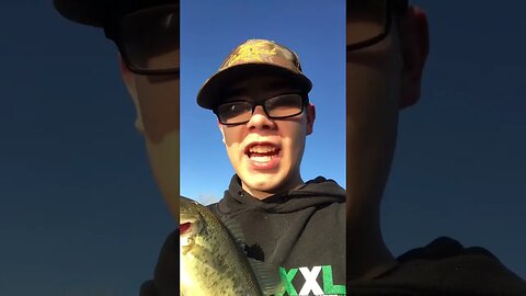 #fish #getreel #bass #bassfishing #fishing #catchingfish #bassfish #fishingvideo #sport