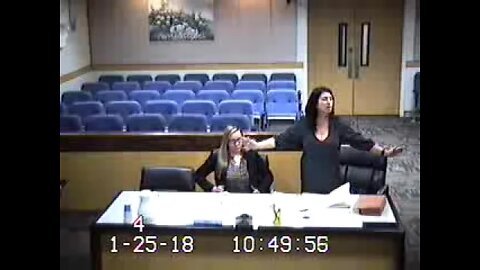 Relationship Court before Family Court Judge Steel the Jensen Matter 01.25.18