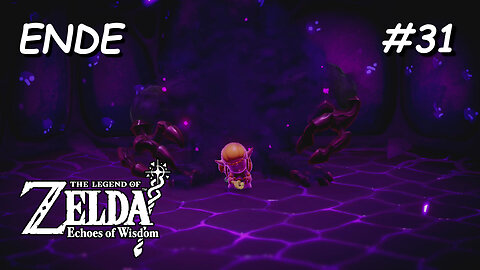 ZELDA - Echoes of Wisdom #31