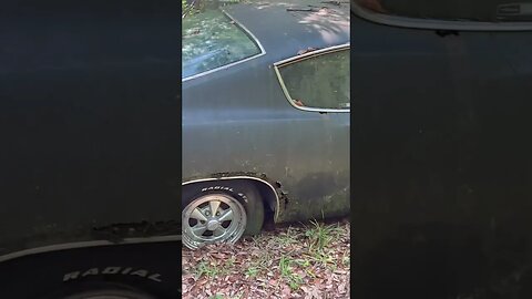 1969 Plymouth Barracuda just sitting next to the woods…