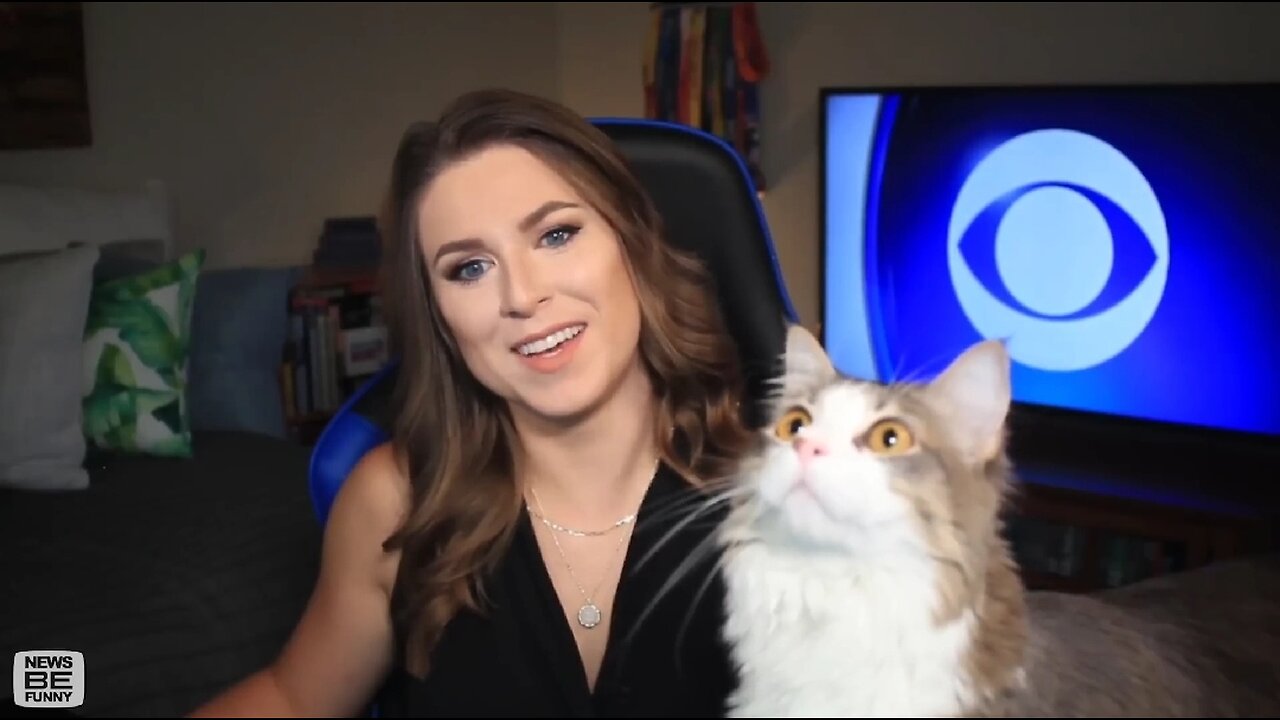 Funny & cute Cats Work From Home News Bloopers 😸🐱