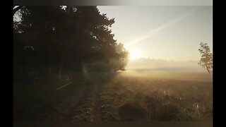 NKJV John 12 Bible Reading